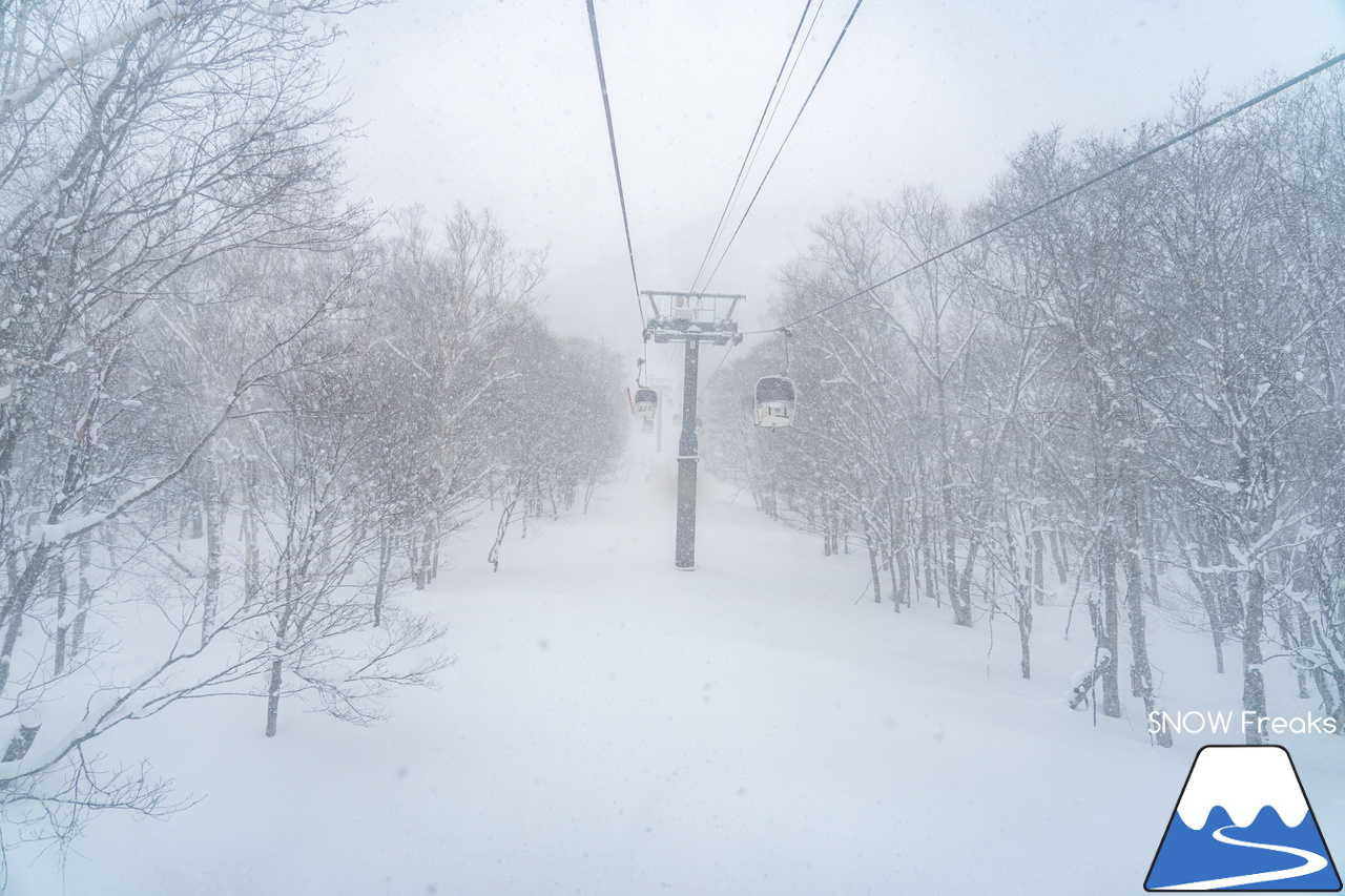 ニセコビレッジスキーリゾート｜気温 -18℃…。最強寒波到来で視界不良なほどのパウダースノーが降り積もる！